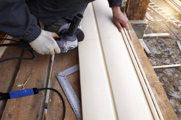 Best Custom Trim and Detailing for Siding  in Ceredo, WV