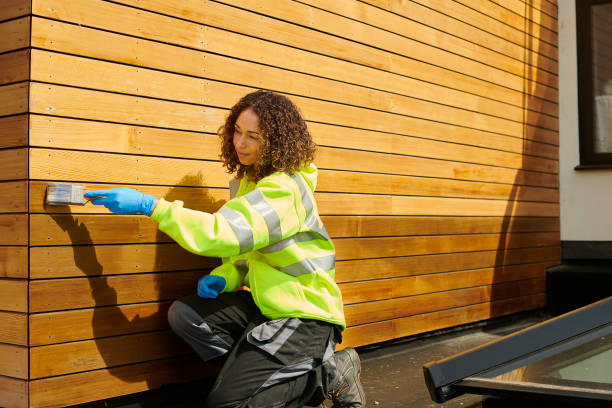 Best Siding Painting and Refinishing  in Ceredo, WV