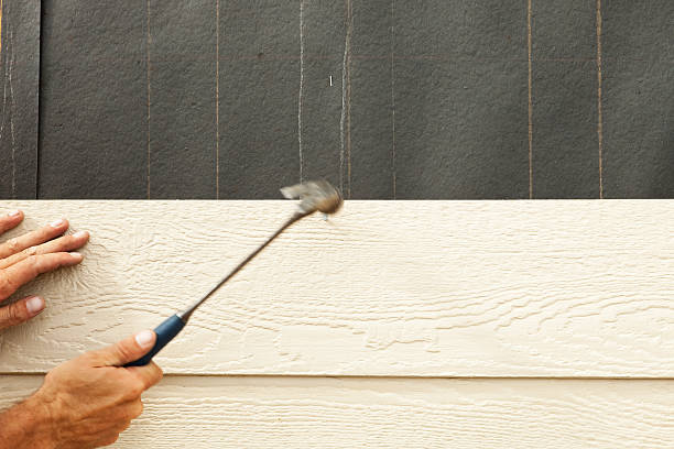 Affordable Siding Repair and Maintenance Services in Ceredo, WV